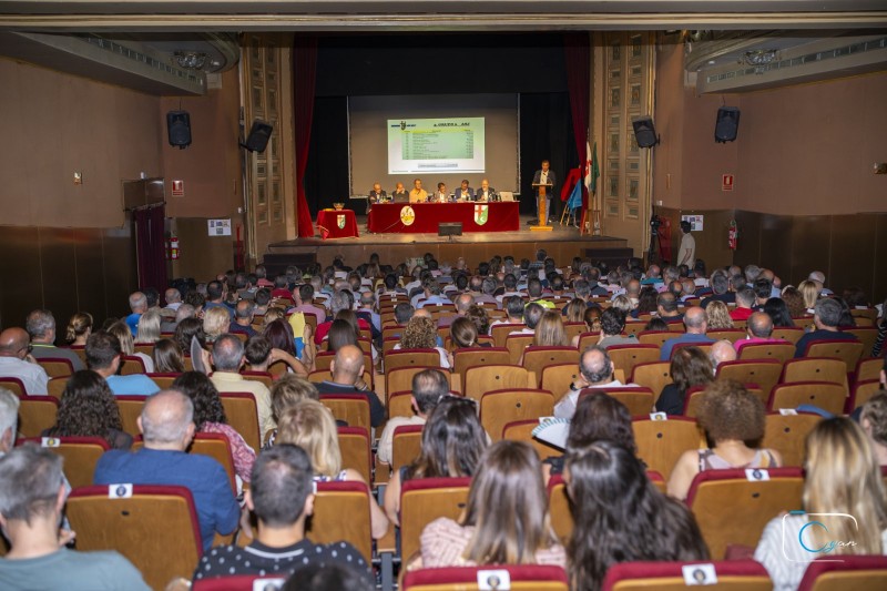 L’Associació de Sant Jordi programa activitats festeres i religioses especials per a celebrar els 750 anys del Patronatge de Sant Jordi. La Junta Directiva proposa a les filaes modificar els estatuts perquè les decisions festeres es puguen prendre amb una majoria del 60%